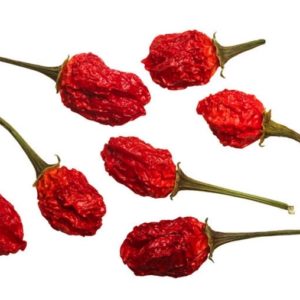 Aji Chombo Hot Pepper Seeds Natural Seeds Canada