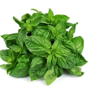 Basil Seeds Genovese Natural Seeds Canada