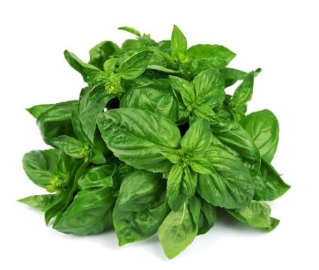 Basil Seeds Genovese Natural Seeds Canada