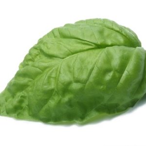 Basil Seeds Lettuce Leaf Natural Seeds Canada