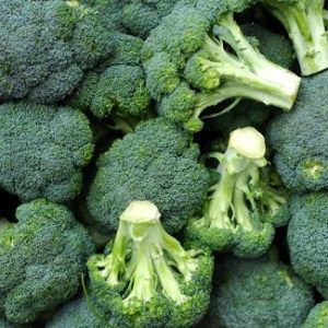 Broccoli Seeds Castledome Natural Seeds Canada