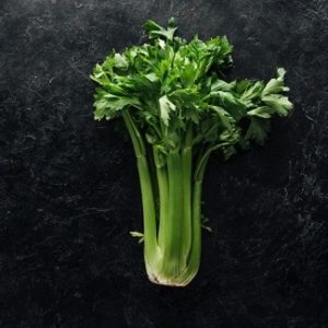 Celery Seeds Tango Natural Seeds Canada