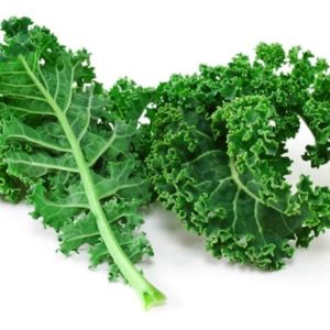 Darkibor Kale Seeds Natural Seeds Canada