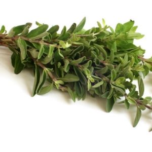 French Thyme Seeds Natural Seeds Canada