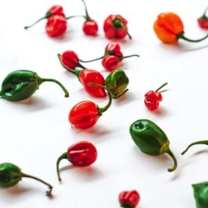 Habanero Mix Hot Pepper Seeds Natural Seeds Canada