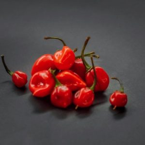 Habanero Red Hot Pepper Seeds Natural Seeds Canada