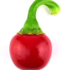 Time Bomb Hot Pepper Seeds Natural Seeds Canada