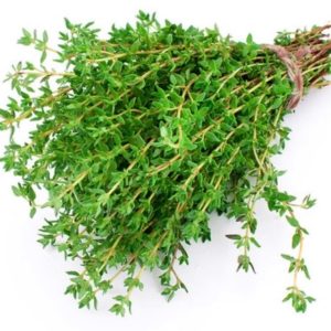 Winter Thyme Seeds Natural Seeds Canada