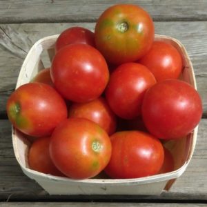 Glacial tomatoes from Yonder Hill Farm