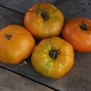 Yellow brandywine tomatoes from Yonder Hill Farm