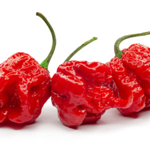 carolina reaper, the hottest chile pepper capsicum chinense, whole ripe pod, isolated on white background. superhot or extremely hot chile pepper